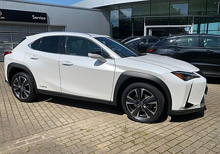 Lexus UX 250 h