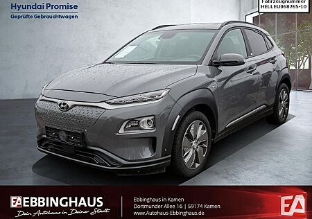 Hyundai Kona Basis Elektro 2WD Kamera Navi LED