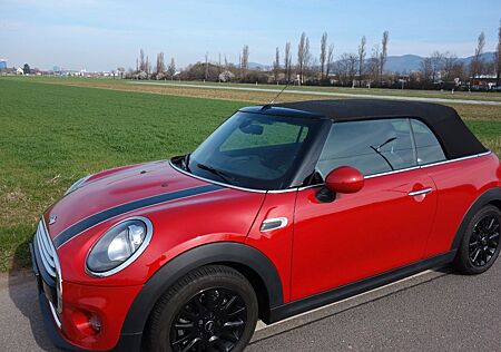 Mini Cooper Cabrio Top-gepflegter aus 1. Hand