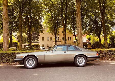 Jaguar XJS V12 / TOP-ZUSTAND !