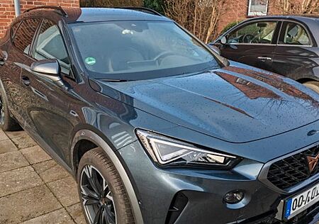 Cupra Formentor gebraucht kaufen Cupra Formentor 1.5 TSI | Top-Zustand | VHB