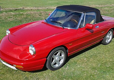 Alfa Romeo Spider 1.Hd./ Hardtop/ Sommerfahrzeug