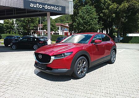 Mazda CX-30 Exclusive-Line 360° Kamera Navi Matrix-LED