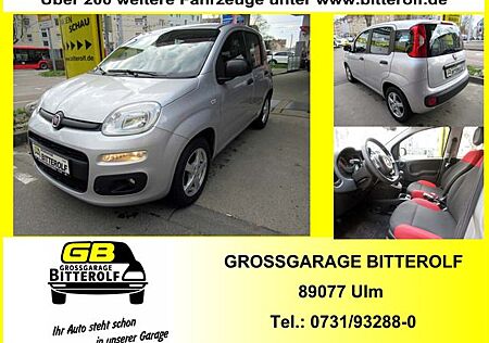 Fiat Panda 1.2 Easy Klima/SHZ/PDC