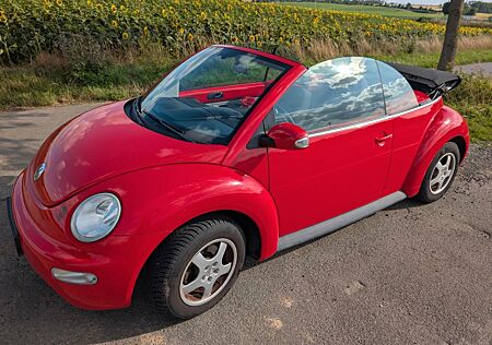 VW New Beetle Volkswagen 1.4 Cabriolet Klassisch Rot/Schwarz