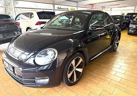 VW New Beetle Volkswagen