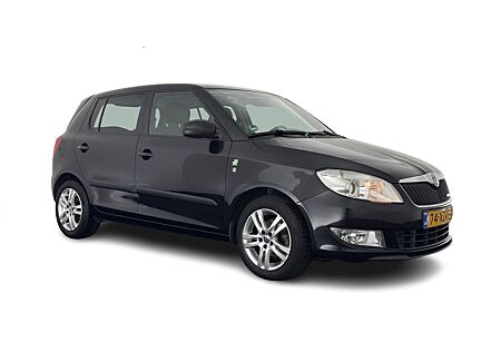 Skoda Fabia 1.2 TDI Greenline Businessline *NAVI-FULLM