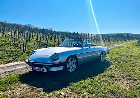 Alfa Romeo Spider