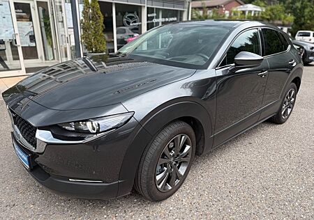 Mazda CX-30 ,Sele,AWD,Des.P+Pre.P.Leder-S+18-B,AHK