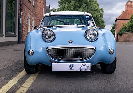 Austin Healey Andere