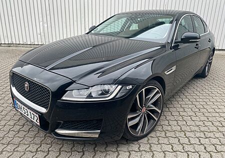 Jaguar XF 3.0 D TDV6 300PS 2WD LIMOUSINE NR24212