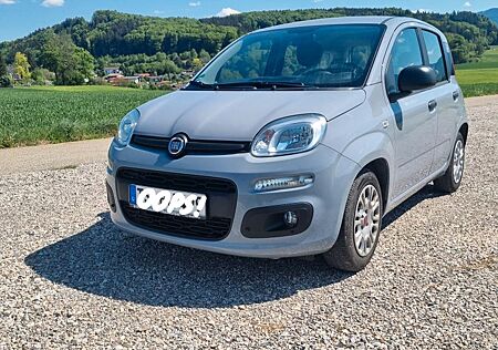 Fiat New Panda