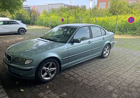 BMW 316i - mintgrün