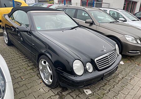 Mercedes-Benz CLK 200 AVANTG.,Leder, Alu,PDC,