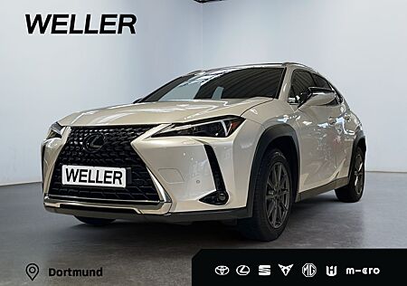 Lexus UX 250h Executive Line *Pano*HUD*Navi*LED*CarPla