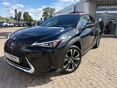 Lexus UX 250 h **GEPFLEGT**