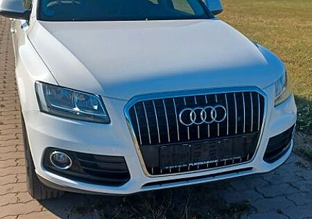 Audi Q5 gebraucht kaufen Audi Q5 2.0 TDI 110kW quattro - AHK