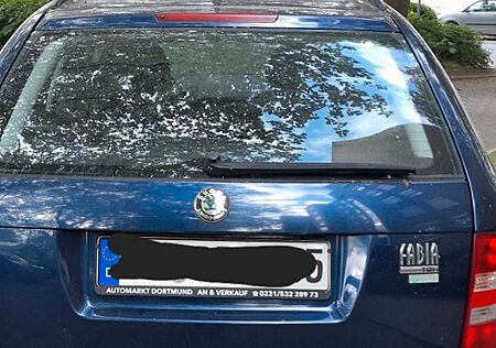 Skoda Fabia Combi 1.4 TDI PD 51 kW Mint