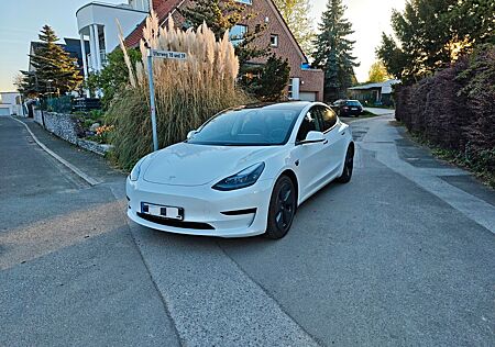 Tesla Model 3 RWD Panorama, 8-fach, nur bis 27.04.