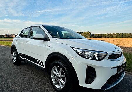 Kia Stonic 1.4 / Edition 7 /