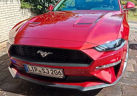 Ford Mustang 2.3 EcoBoost Convertible
