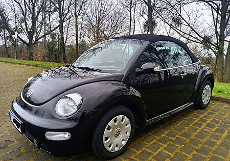 VW Beetle Volkswagen Klimaanlage Sitzheizung stets Frauenfzg.