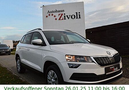 Skoda Karoq Ambition NAVI/TEMPO/SHZ/PDC/MFL/APPLE-CAR