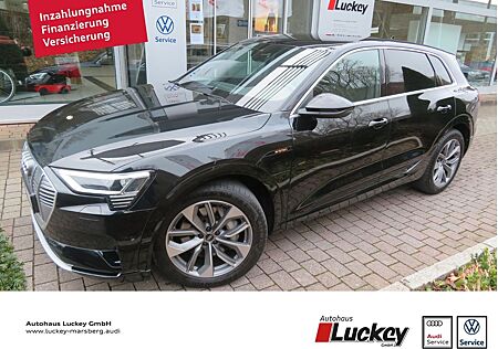 Audi e-tron 50 advanced S-LINE Memory RÜCKFAHRKAMERA