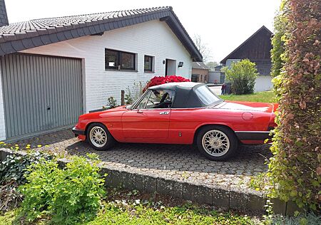 Alfa Romeo Spider Liebhaberstück Topzustand