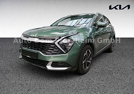 Kia Sportage gebraucht kaufen Kia Sportage 1,6D DCT 2WD 48V Vision/NAVI/UVO