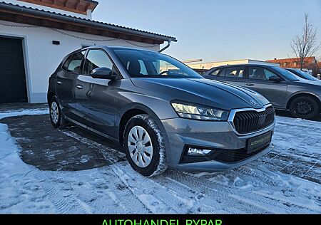 Skoda Fabia Selection 95PS*VirtC*SHZ*PDC*5JGar.