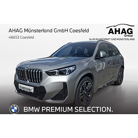 BMW X1 leasen