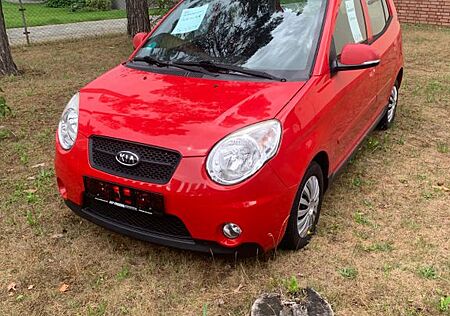 Kia Picanto 1.1 Cool Cool