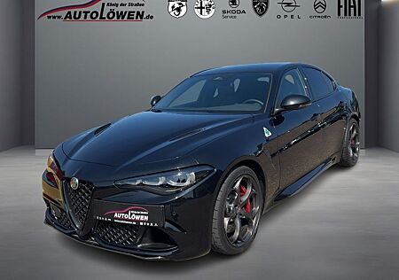 Alfa Romeo Giulia gebraucht kaufen Alfa Romeo Giulia 2.9 V6 Bi-Turbo Quadrifoglio (EURO 6e)