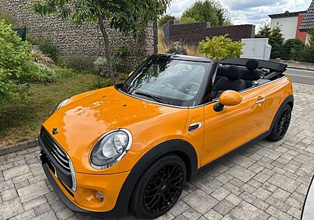Mini One Cabrio One - Pepper/Wired/Voll
