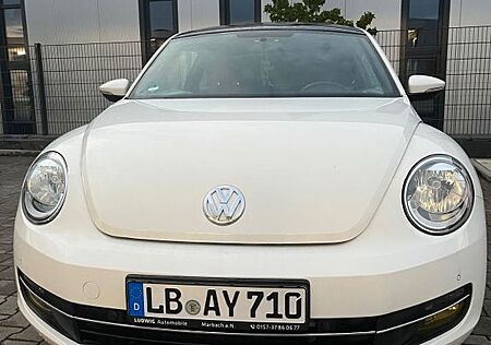 VW Käfer gebraucht kaufen VW Käfer Volkswagen 1,2 Benzin Pano .Klima sitzheiz Eu-5