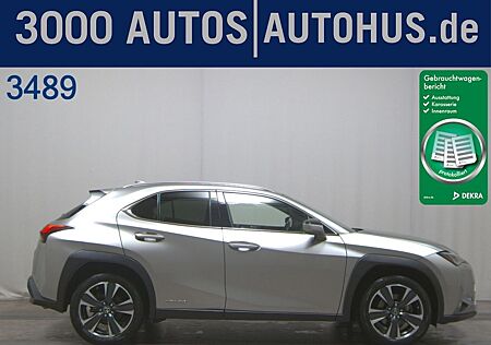 Lexus UX 250 h 250h Style Edition ACC LED RFK KeyLess