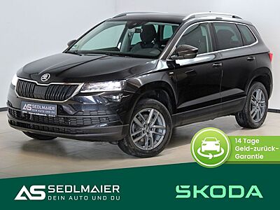 Skoda Karoq 2.0 TDI 4x4 Drive AHk|RCam|ACC|SHZv+h|NAV