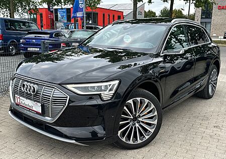 Audi e-tron 55 S line Virtuelle Spiegel Pan Night 360