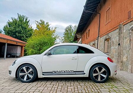 VW Beetle Volkswagen 2.0 TSI DSG Sport Sport