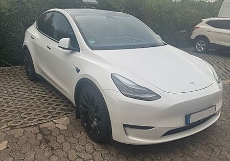 Tesla Model Y Performance Dual Motor AWD Performance