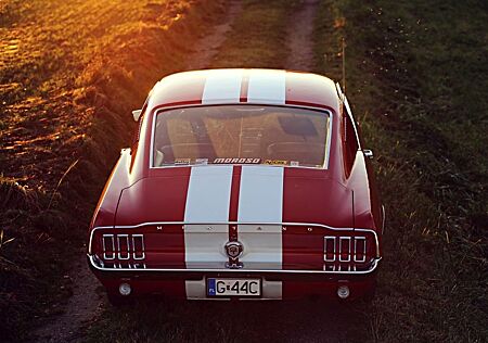 Ford Mustang Fastback 390 GT Big Block