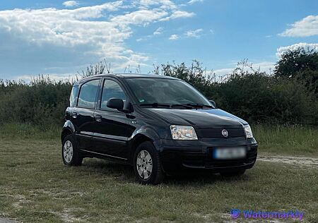 Fiat Panda | Wenig KM | Rostfrei | Familienbesitz
