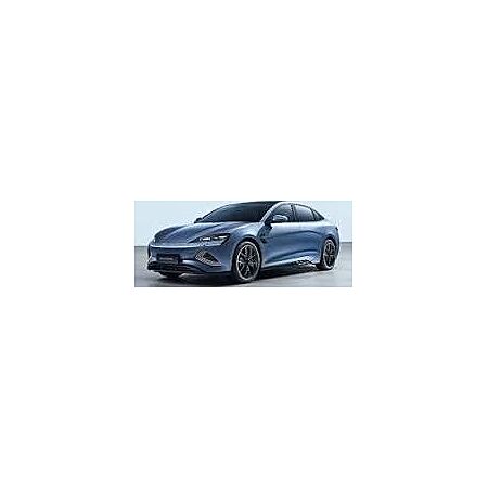 BYD Seal leasen