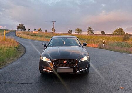 Jaguar XF E-Performance 163PS Pure Pure