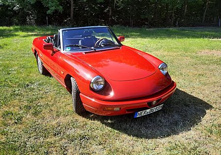 Alfa Romeo Spider