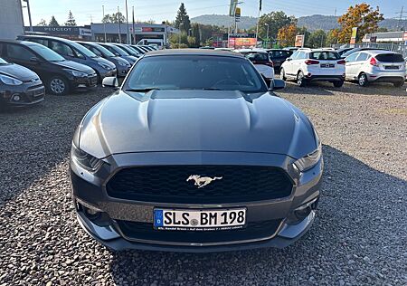 Ford Mustang gebraucht kaufen Ford Mustang Cabrio