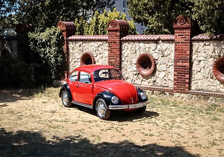 VW Käfer Volkswagen