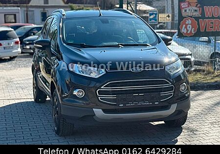 Ford EcoSport Titanium*124.TKM*