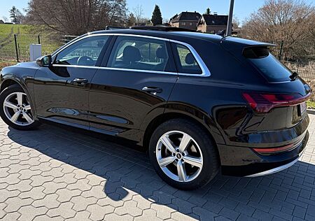 Audi e-tron 50 quattro Advanced Pano AHK ACC